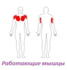 Тренажёр "Жим от груди"  207.19.05 «ROMANA»